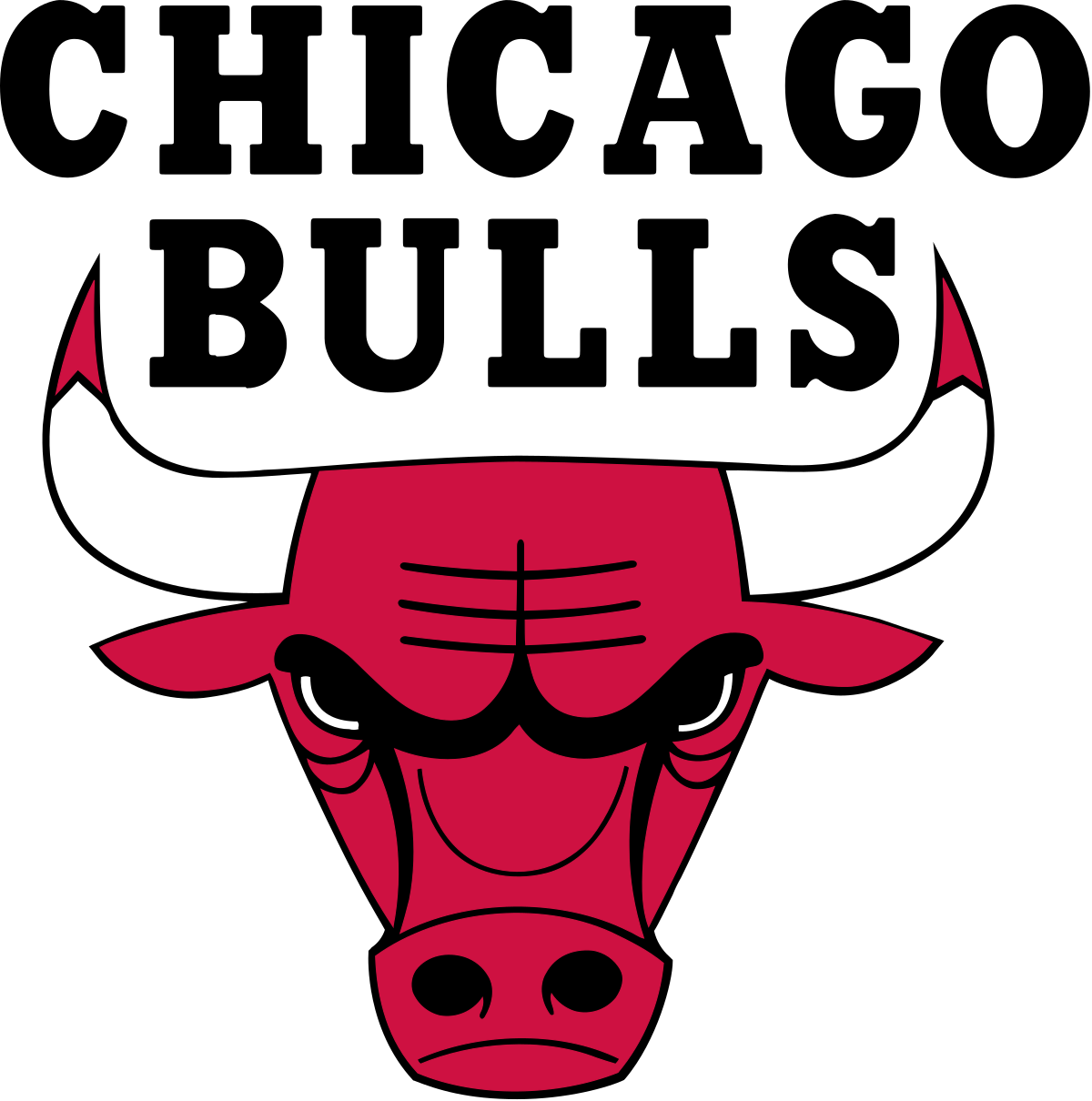 Chicago Bulls &