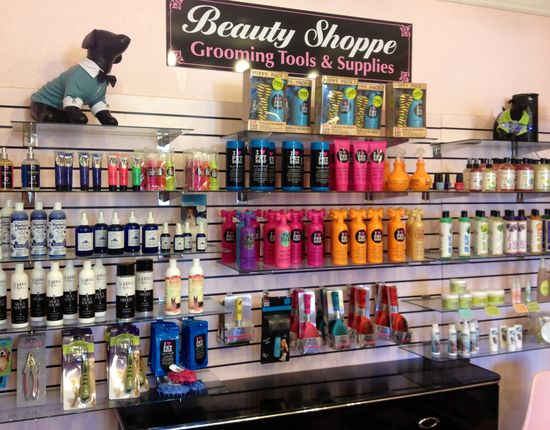 Get Everything You Need for Your Furry Friend at Our Pet Supply Store