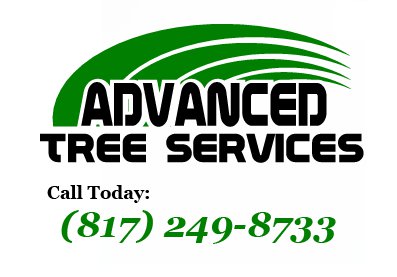 Advanced Tree Services