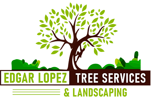 Edgar Lopez Tree Services