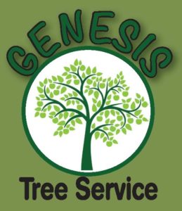 Genesis Tree Service