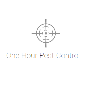 One Hour Pest Control